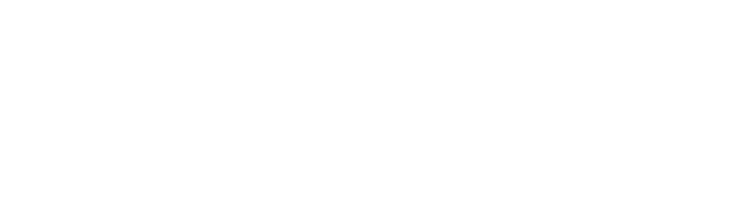 The Medallion White Logo