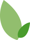 green leaf icon