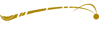 the medallion logo