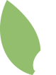 white leaf icon